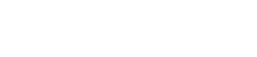 Бойлик Финанс